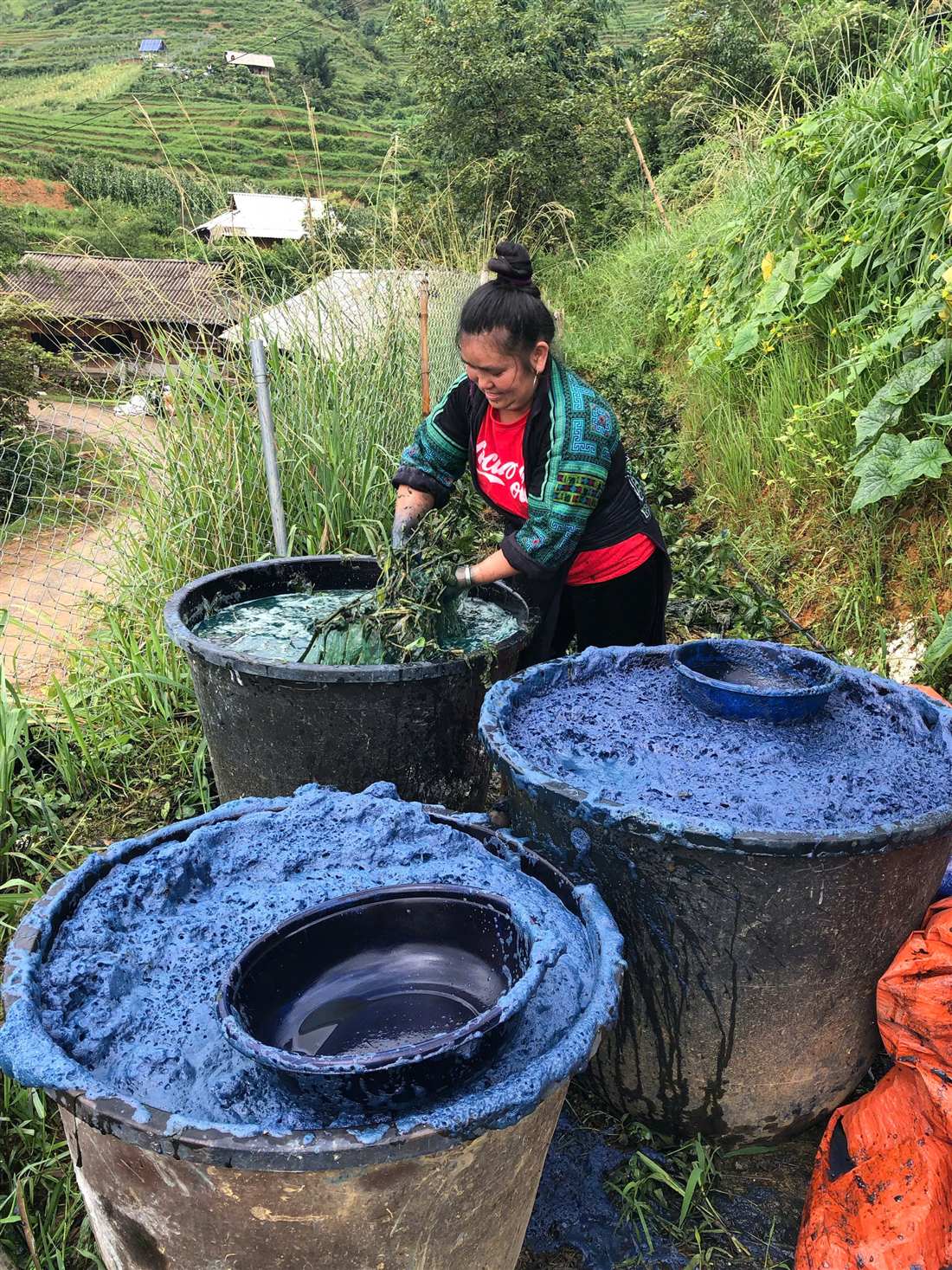 Indigo dye vats with fresh leaves